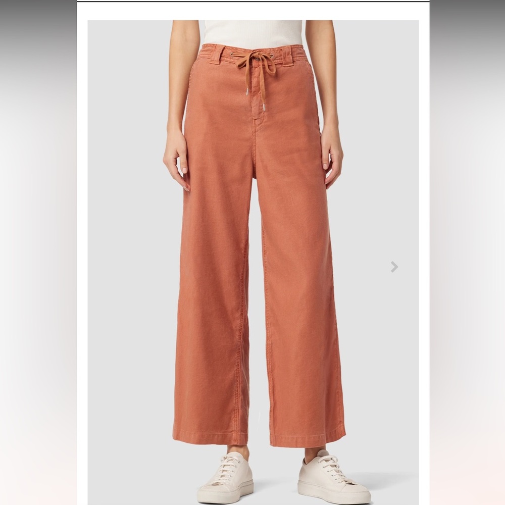 Hudson Size 34 Drawstring Bronze Pants NWT